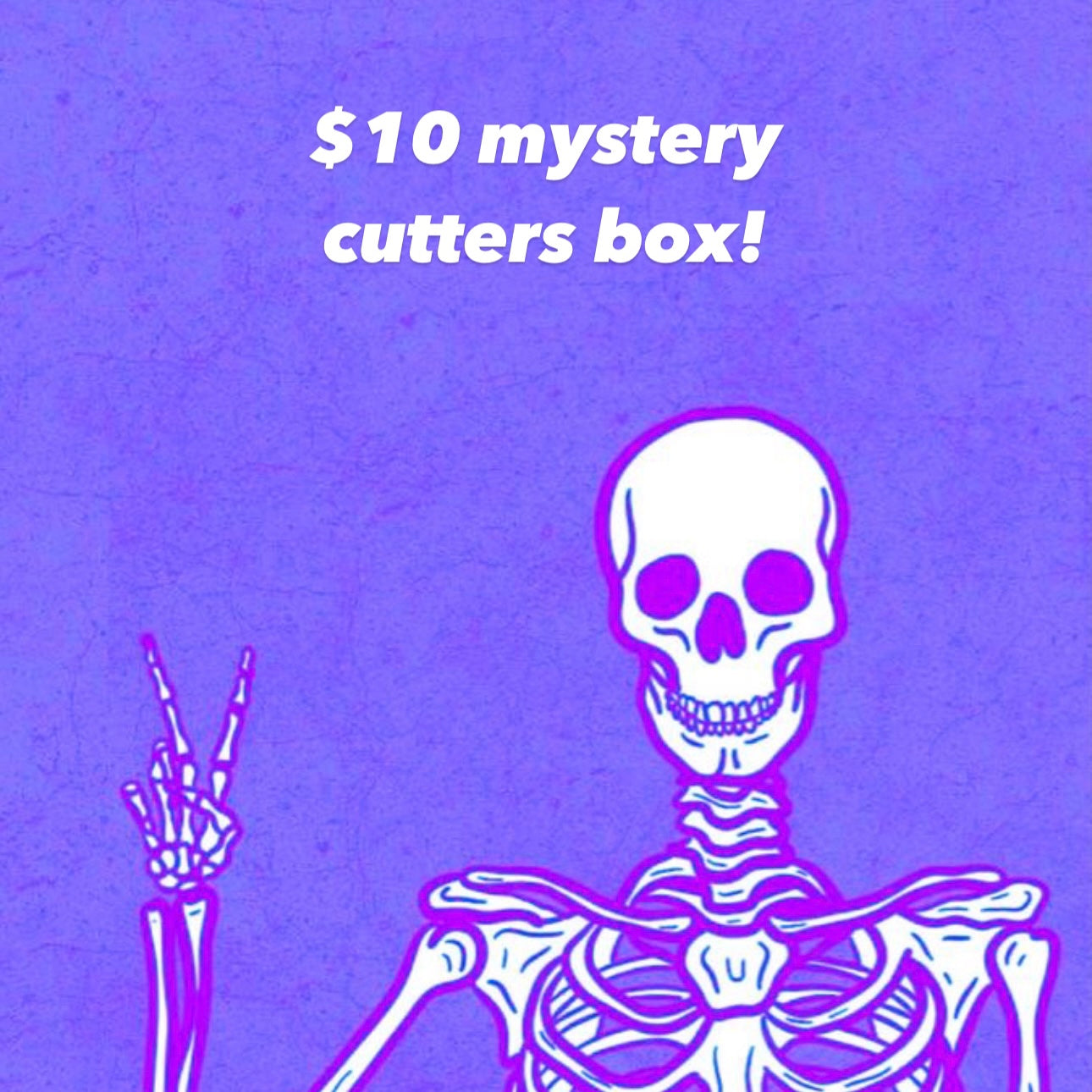 $10 Mystery Destash Cutter Box